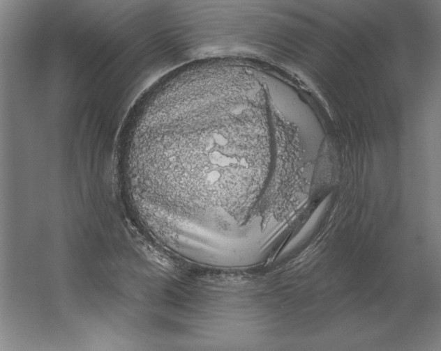 X0000062140975200512301523