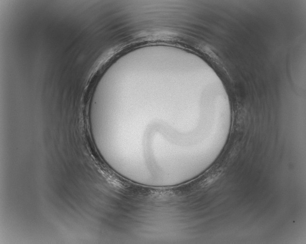 X0000062140978200512301523