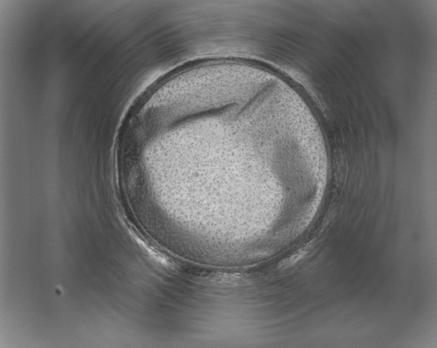 X0000062140982200512301523