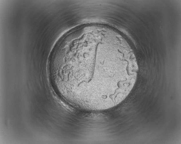 X0000062140983200512301523