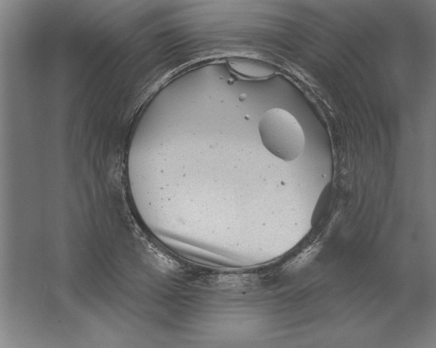 X0000062140985200512301523