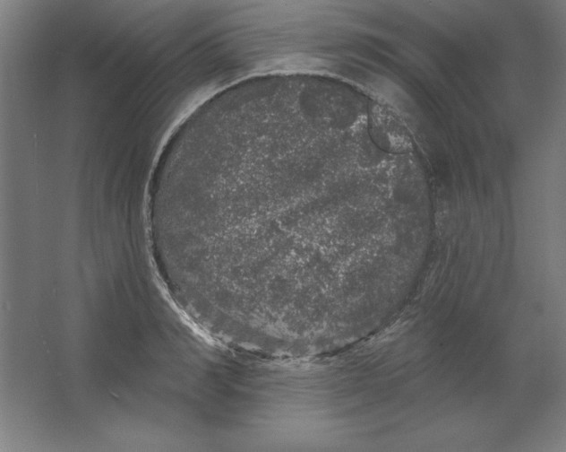 X0000062140990200512301523