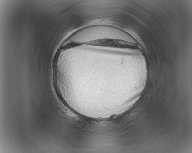 X0000062140992200512301523