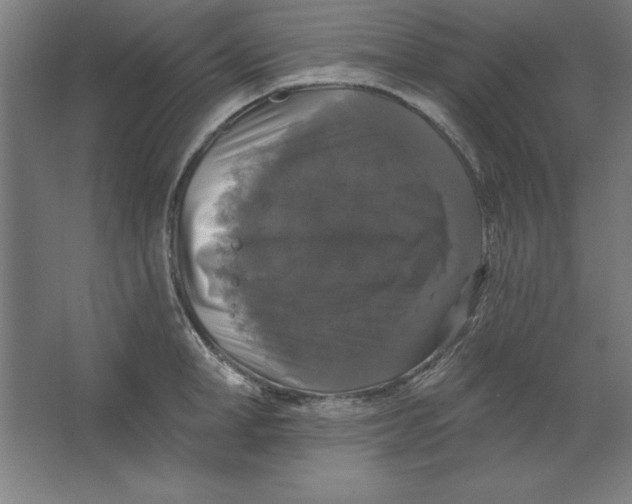 X0000062140998200512301522