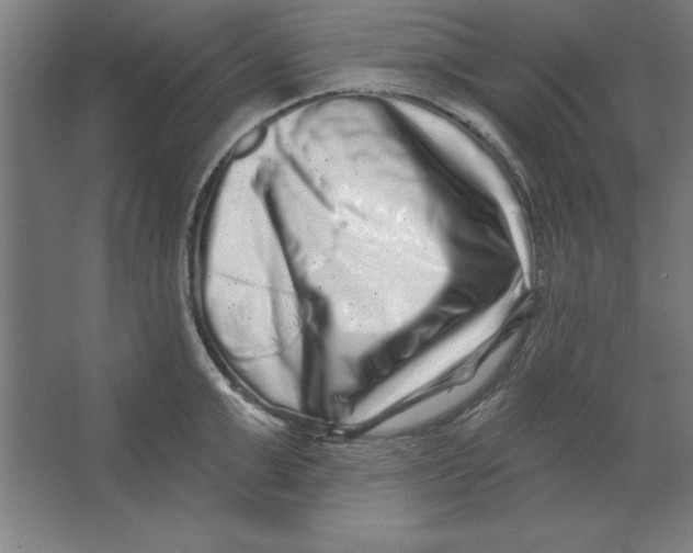 X0000062140999200512301522