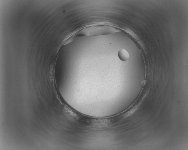 X0000062141001200512301522