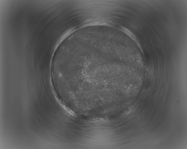 X0000062141002200512301522