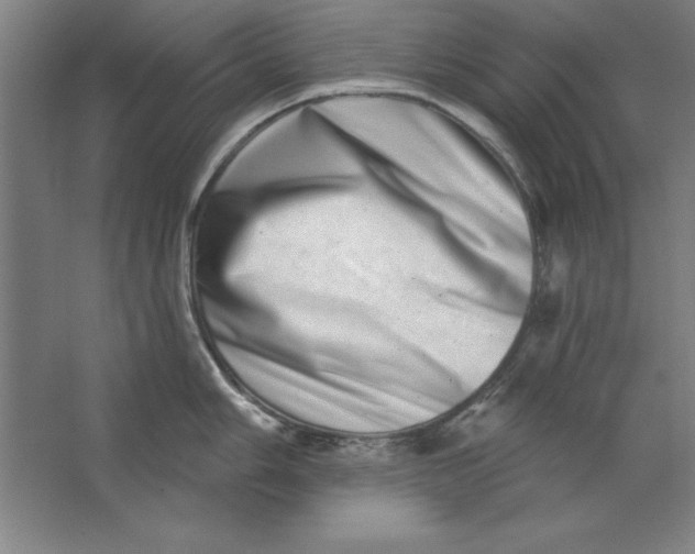 X0000062141006200512301522