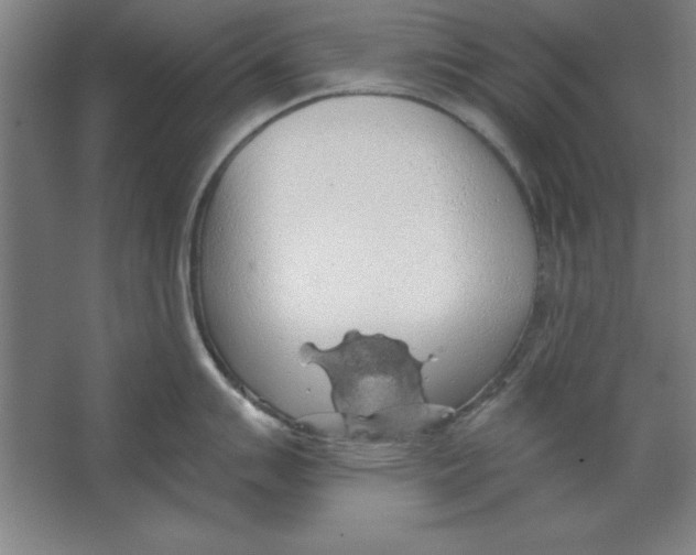 X0000062141007200512301522