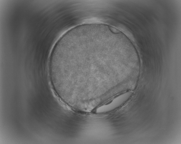 X0000062141008200512301522