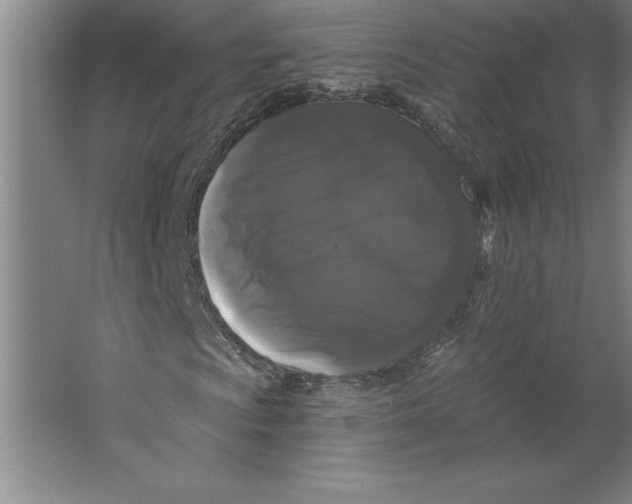 X0000062141009200512301521