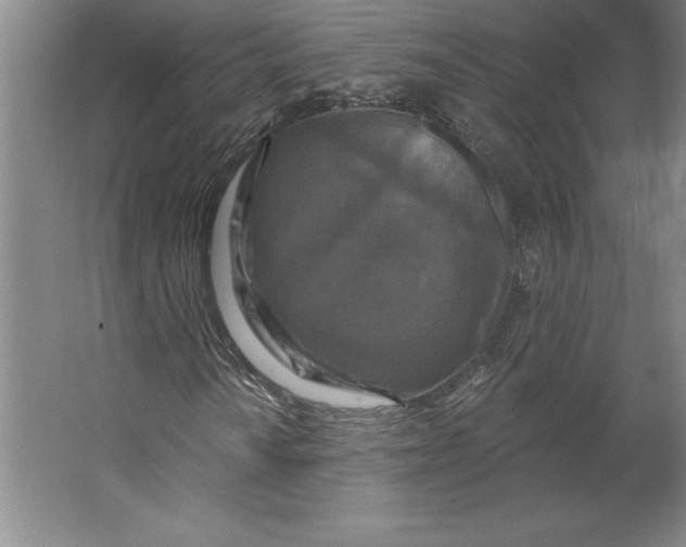 X0000062141010200512301521