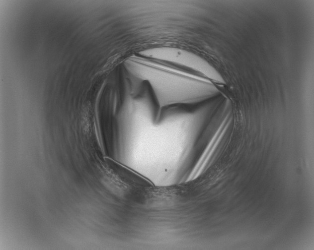 X0000062141012200512301522