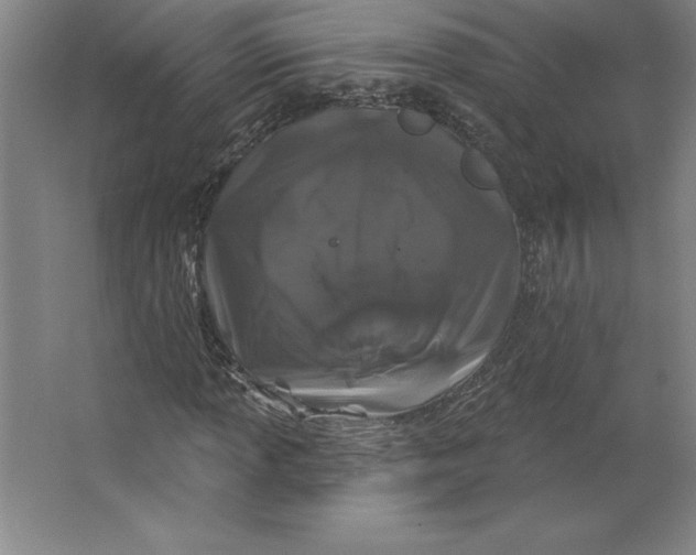 X0000062141013200512301522