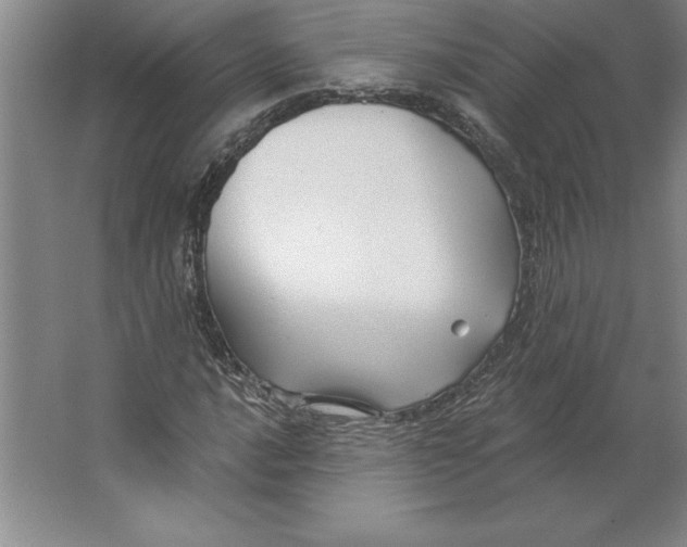 X0000062141016200512301522