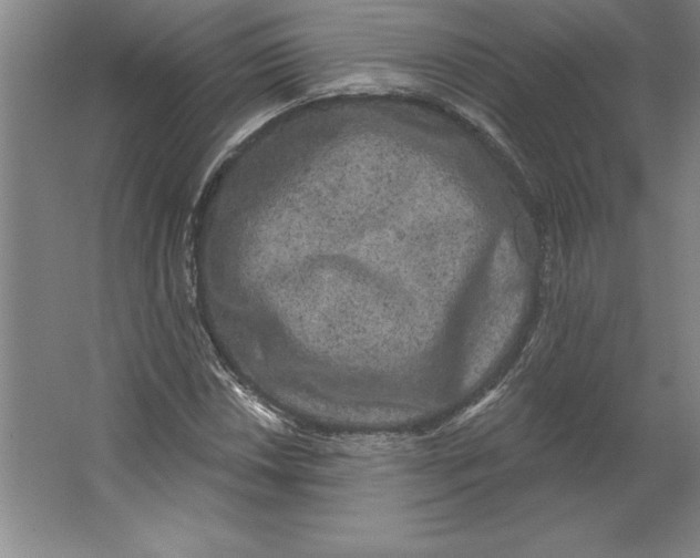 X0000062141018200512301522