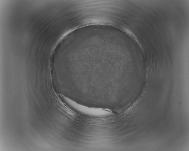 X0000062141019200512301522