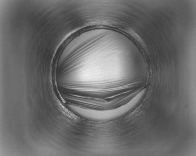 X0000062141020200512301522