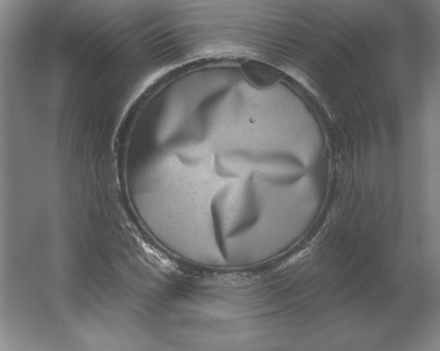 X0000062141022200512301522