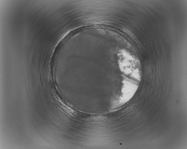 X0000062141023200512301522