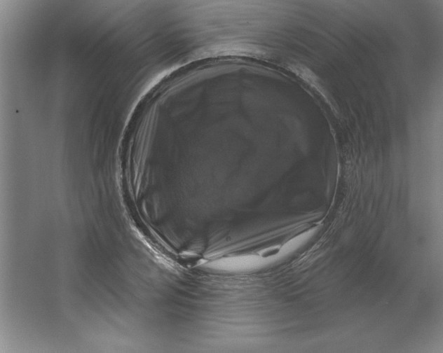 X0000062141024200512301522