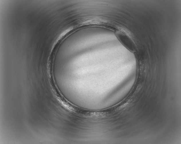 X0000062141026200512301522