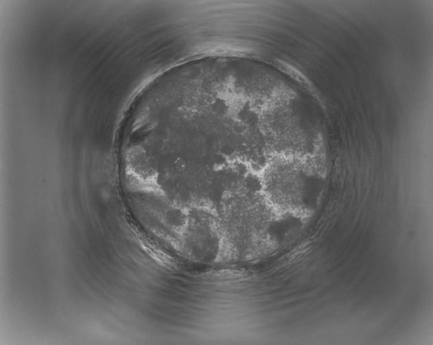 X0000062141027200512301522