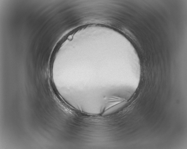 X0000062141028200512301522