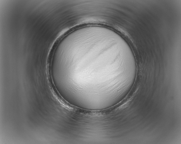 X0000062141029200512301522