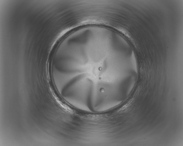 X0000062141030200512301522