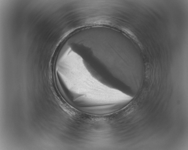 X0000062141031200512301522