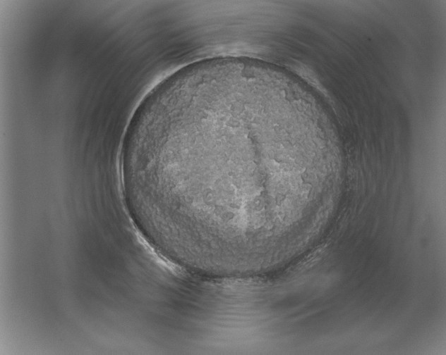 X0000062141032200512301522