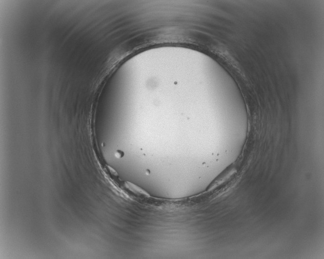 X0000062141033200512301522