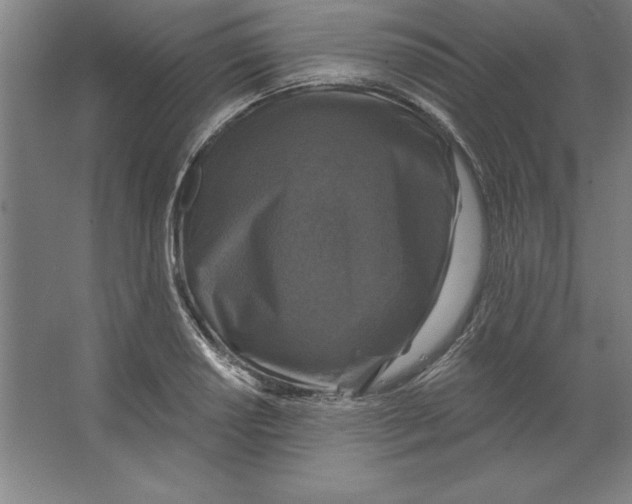 X0000062141034200512301522