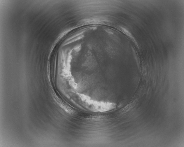 X0000062141035200512301522