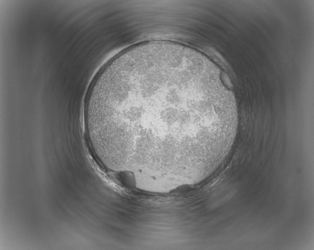 X0000062141036200512301522