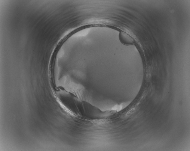 X0000062141037200512301522