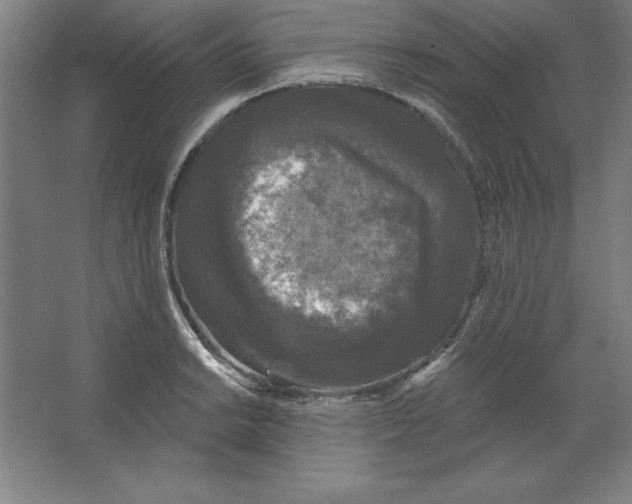 X0000062141038200512301522