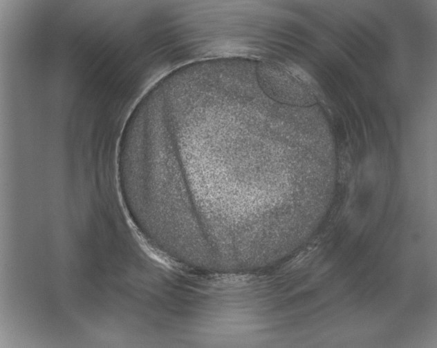 X0000062141039200512301522