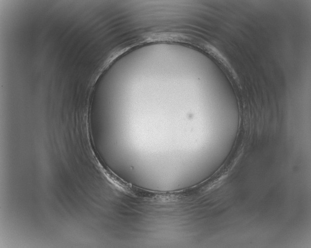 X0000062141041200512301522