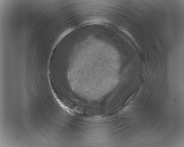 X0000062141042200512301522