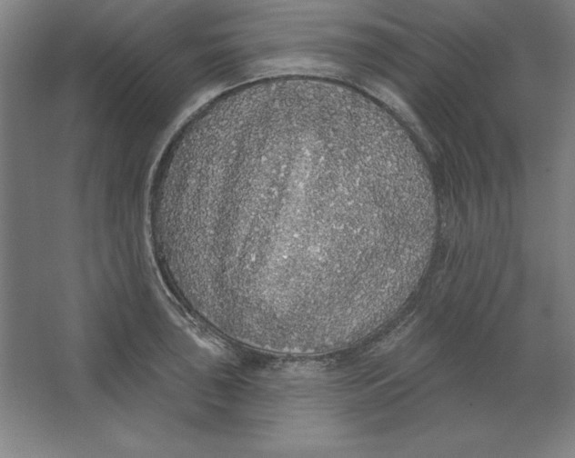 X0000062141043200512301522