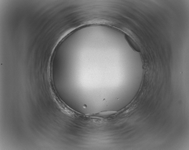 X0000062141044200512301522