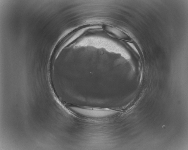 X0000062141045200512301522