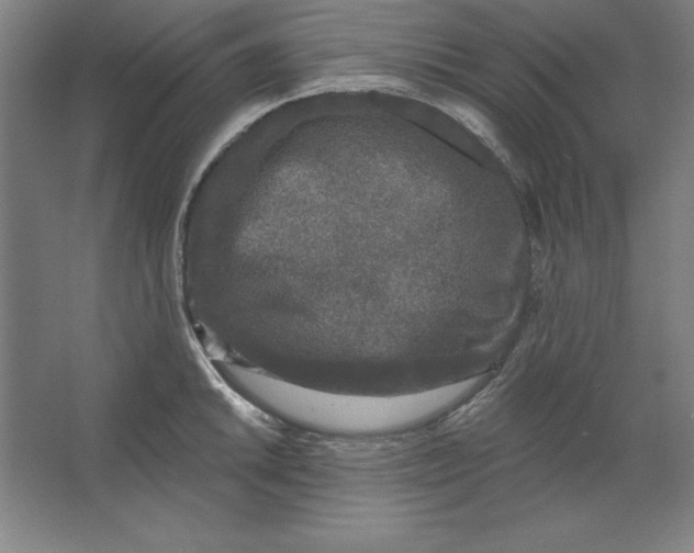 X0000062141046200512301522