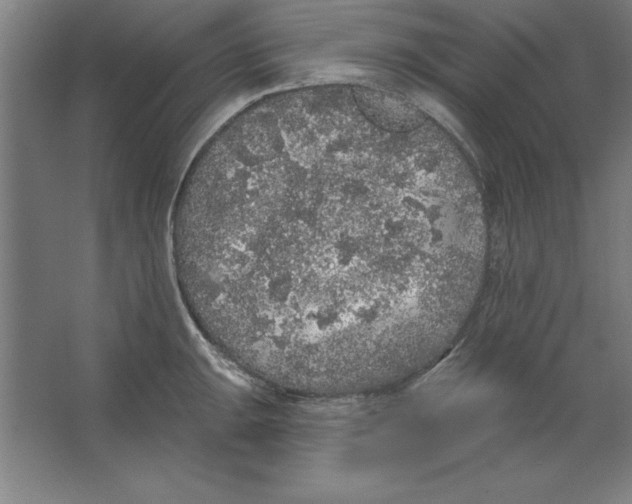 X0000062141047200512301522