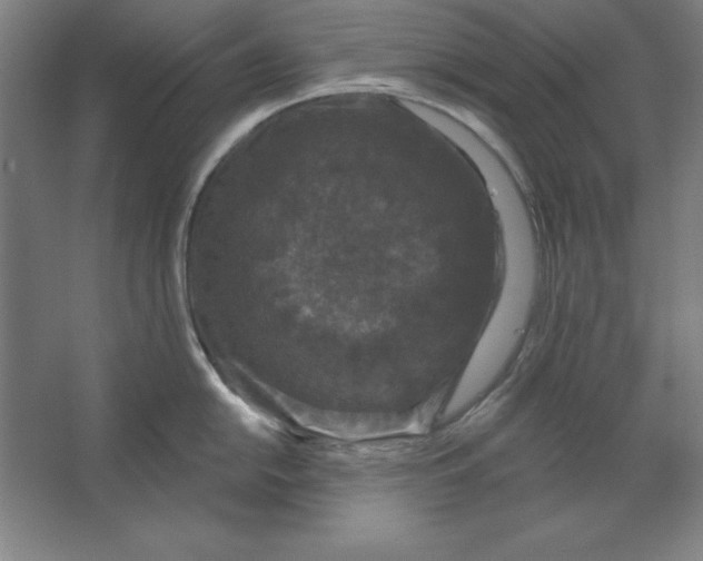 X0000062141054200512301522