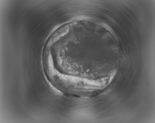 X0000062141055200512301522