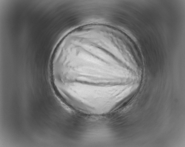 X0000062141056200512301522