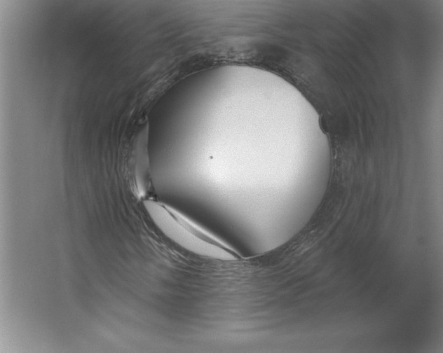 X0000062141058200512301521